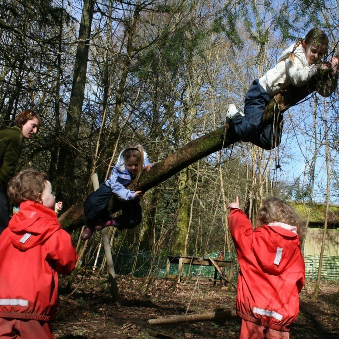 Benefit Risk - Training Talk