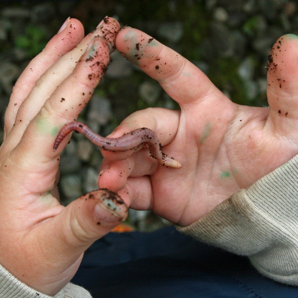 Introduction to Nature Pedagogy