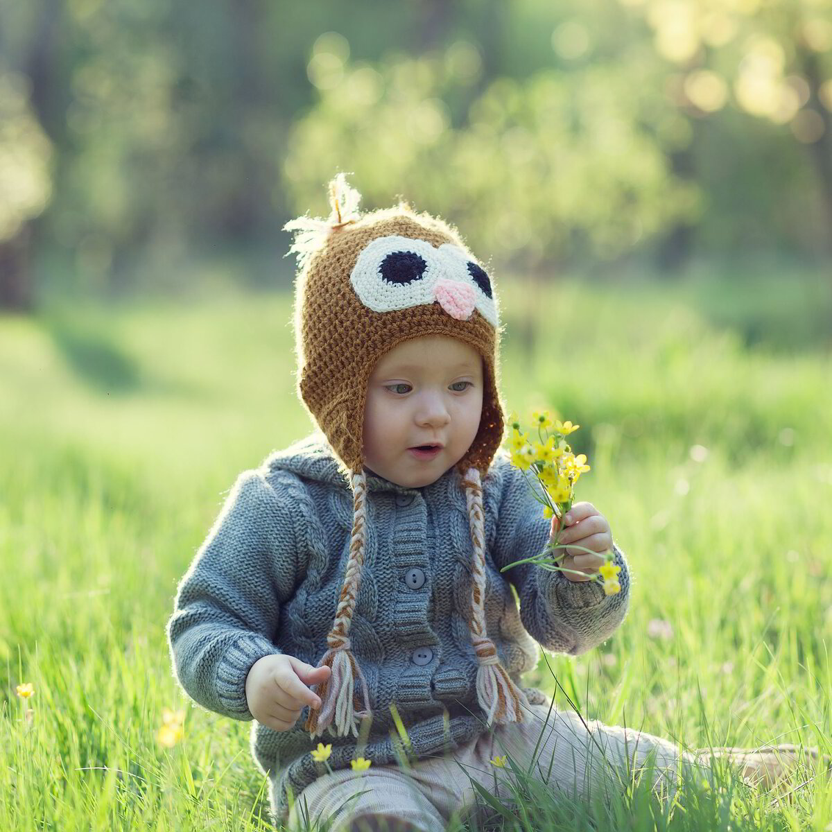 Introduction to Nature Pedagogy Webinar