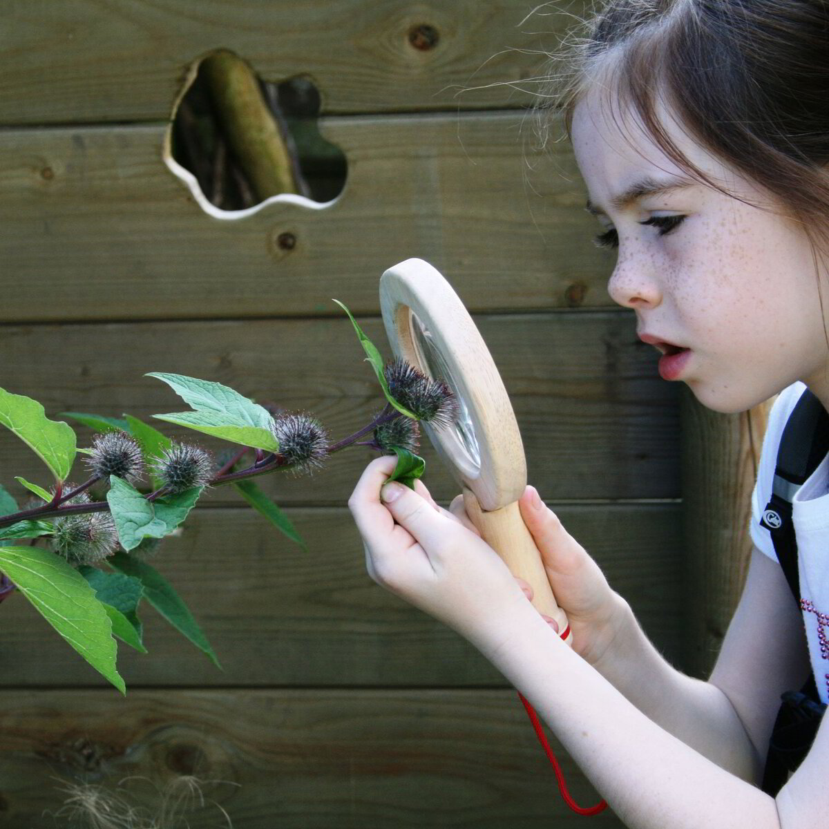Nature and STEAM - Science Technology Engineering Arts and Maths