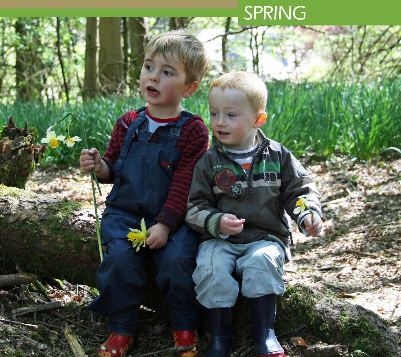 Spring Virtual Tour of Auchlone