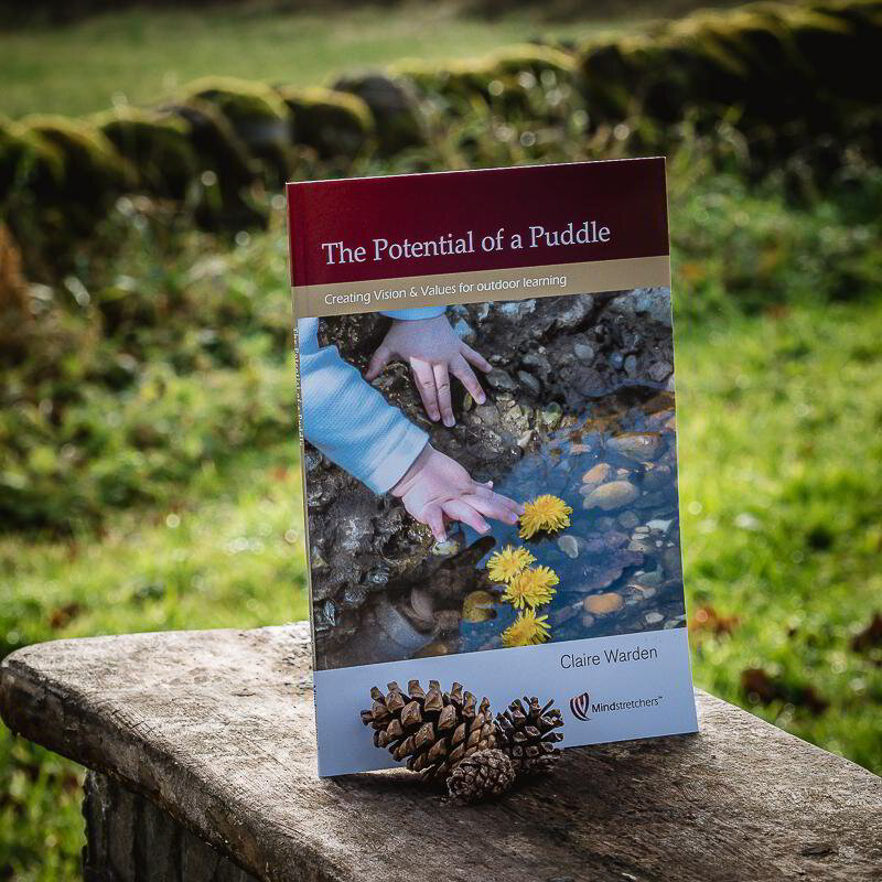 The Potential of a Puddle