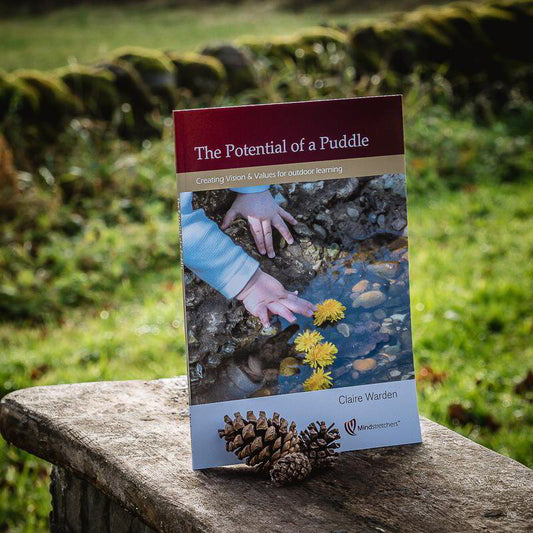 The Potential of a Puddle