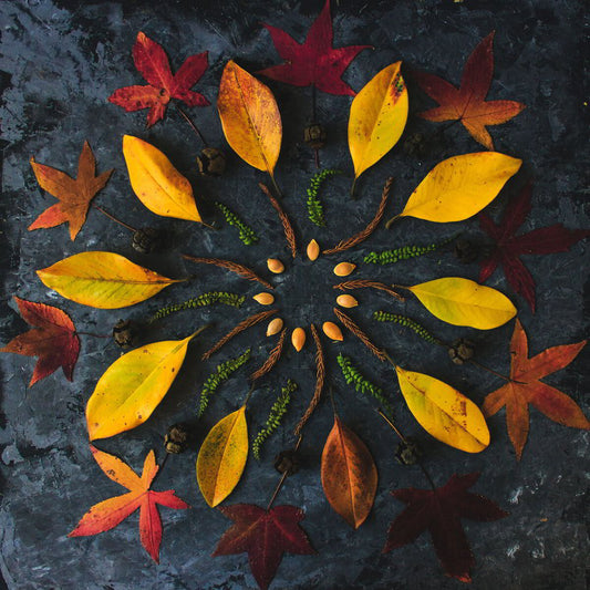 Transient Art Webinar