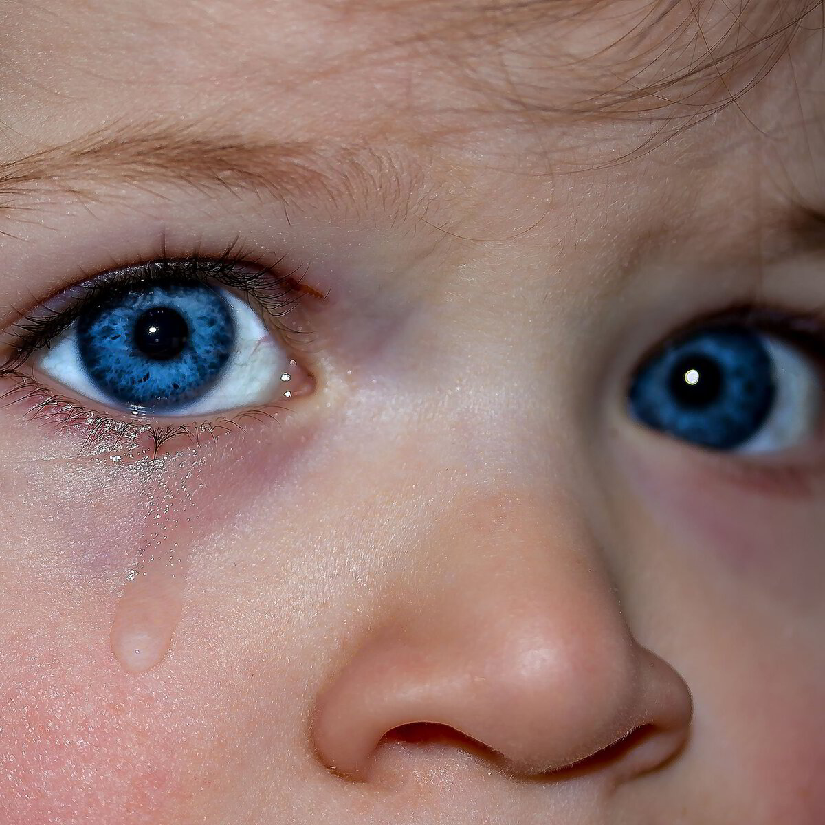 Traumatic Memory – Can nature help?