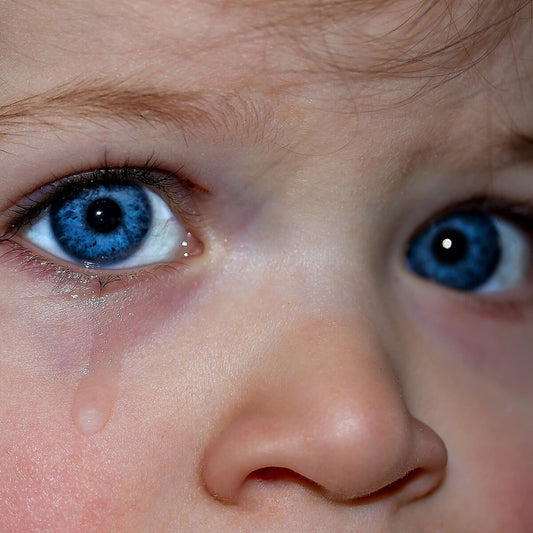 Traumatic Memory – Can nature help?
