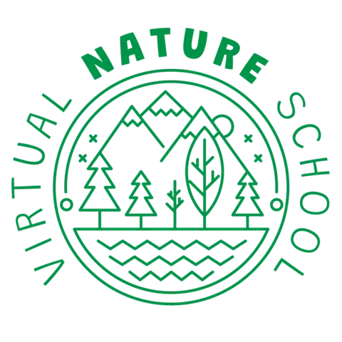 Virtual Nature School