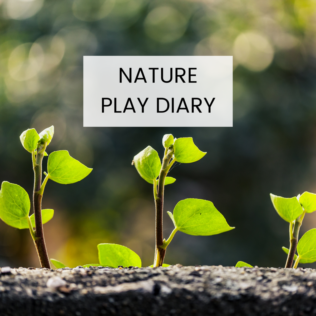 Free Resources
