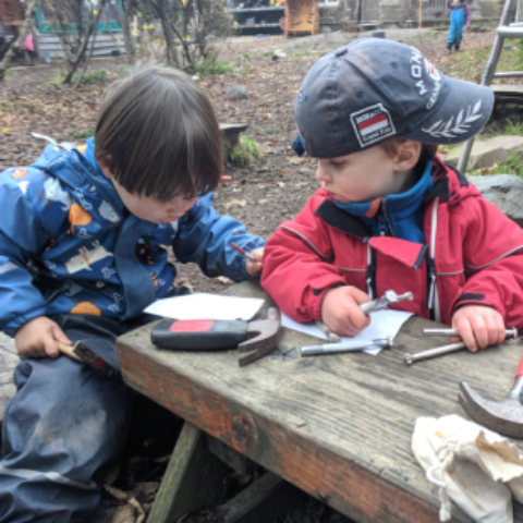 Learning with Nature - Benefit Risk Assessment