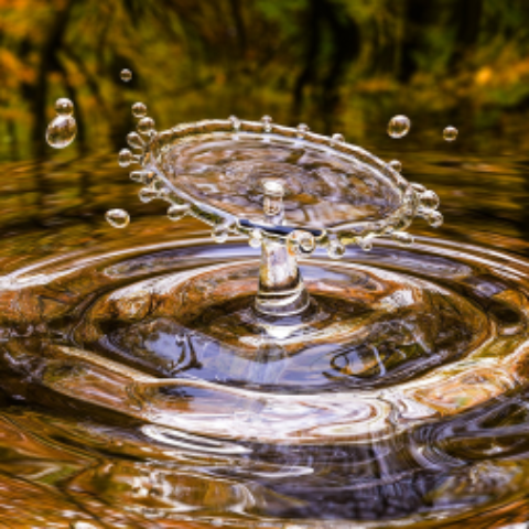 Learning with Nature - Drips Drops and Dribbles