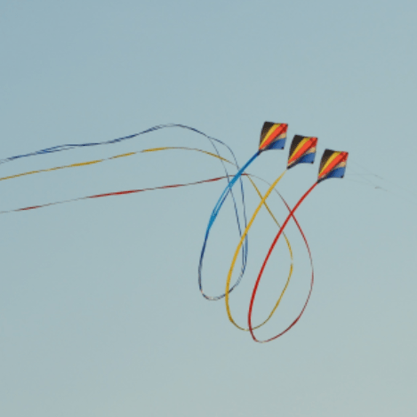 Learning with Nature - Wind