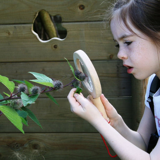 Nature and STEAM - Science Technology Engineering Arts and Maths