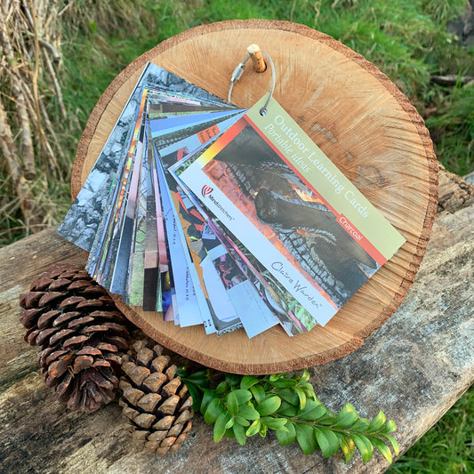 Outdoor Learning Cards - Portable Ideas - Charcoal