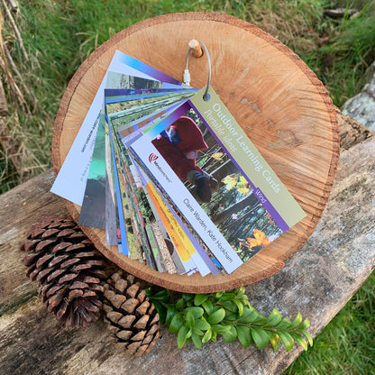 Outdoor Learning Cards - Portable Ideas – Wind