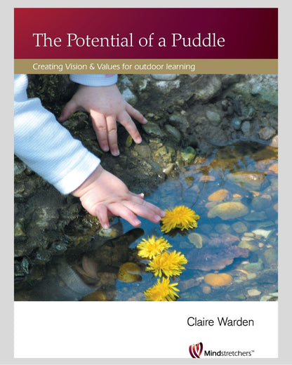 The Potential of a Puddle