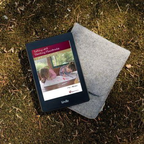 Talking and Thinking Floorbooks E-Book