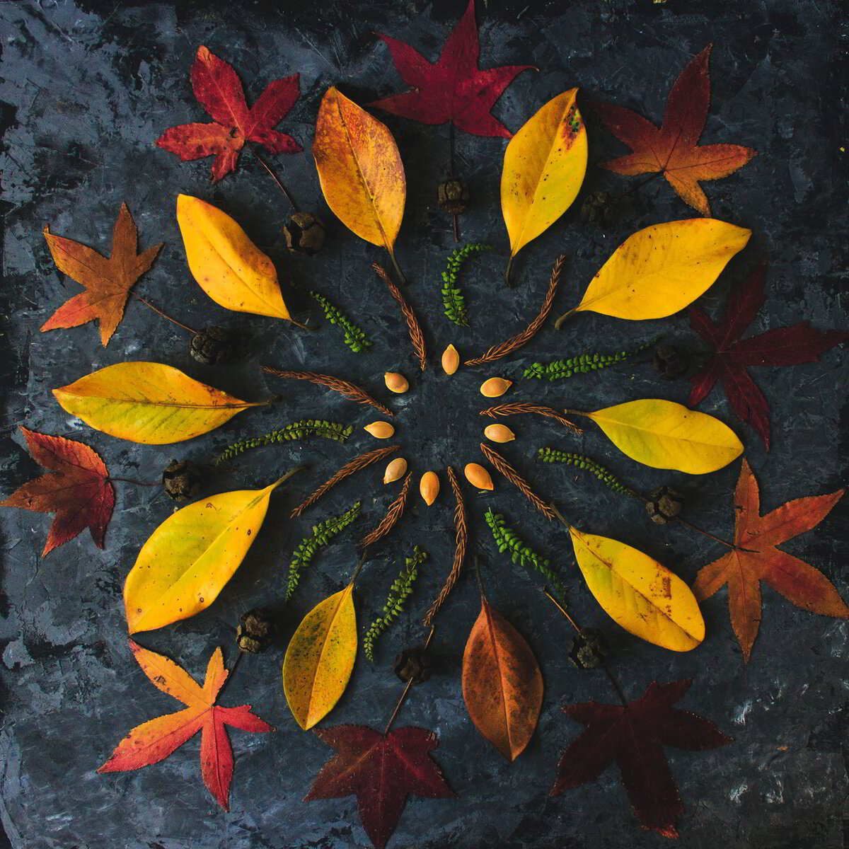 Transient Art Webinar